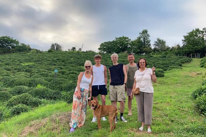 1,5 Hours Tea House and Tea Garden Trip in Ozurgeti Georgia - Walking among century-old tea plants