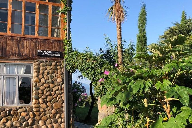 1,5 Hours Tea House and Tea Garden Trip in Ozurgeti Georgia - The views and the pace around Gomis Mta
