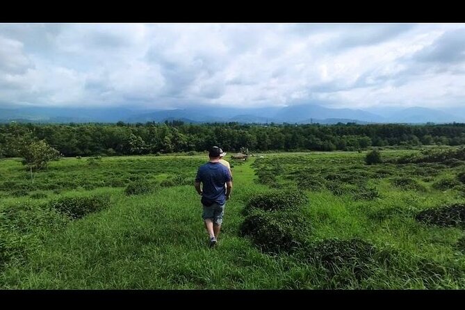 1,5 Hours Tea House and Tea Garden Trip in Ozurgeti Georgia - A three-tea tasting with a tea master