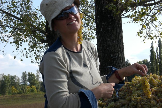 2-Day Private Wine Tour to Kakheti from Tbilisi - Signagi and the first taste of kvevri wine