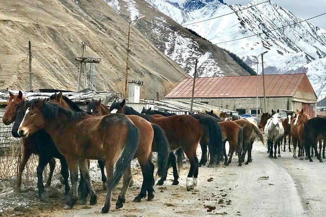 2 Days Private Tour to Kazbegi and Juta Village with Trekking - Zhinvali Reservoir and the mountain road