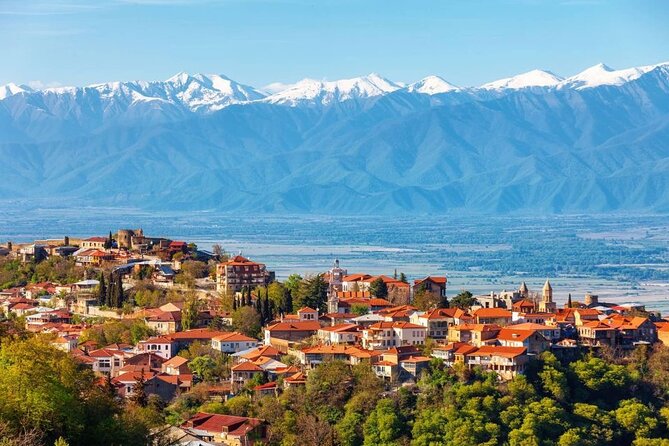 2 Full Day Private Tours from Tbilisi - Day 2: Kakheti’s wine traditions at Patardzeuli