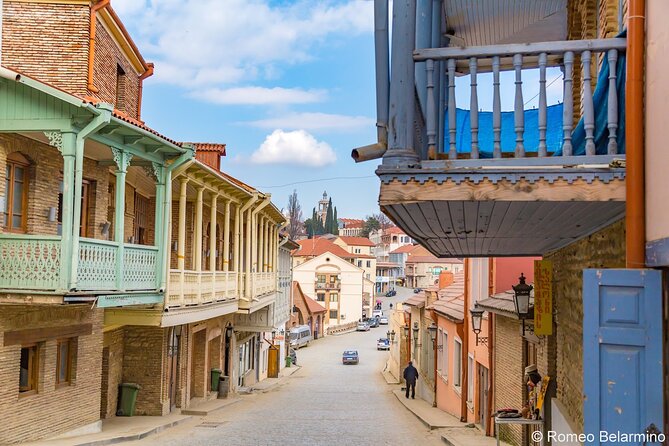 2 Full Day Private Tours from Tbilisi - What the private guide adds