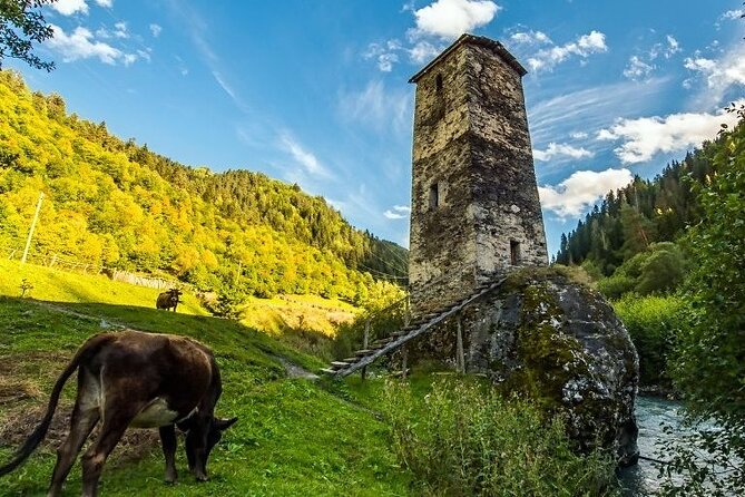4-Day Tour in Svaneti - Mestia/Ushguli - Mestia’s towers and an evening at your own pace