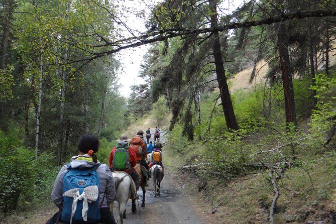 7-day hiking expedition to Tusheti through the Atsunta pass - Day 7: Leaving Tusheti over Abano Pass