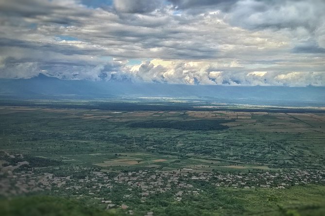 A day tour to Kakheti region/wine/culture/history and gastro tour - Why this Kakheti day trip works