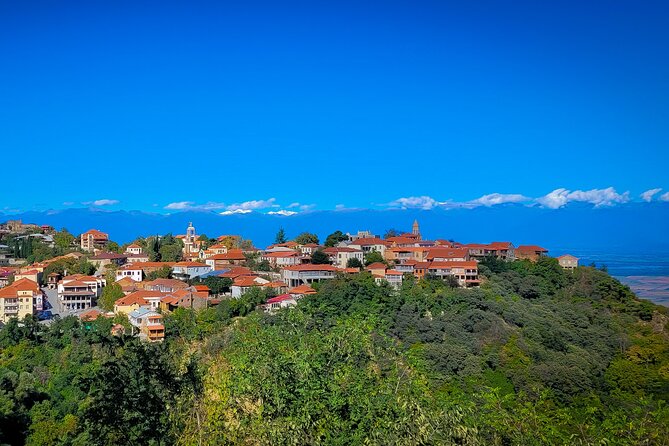 A day tour to Kakheti region/wine/culture/history and gastro tour - Bodbe Monastery and the religious side of Kakheti