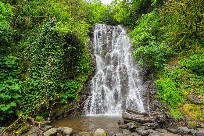 Adjarian Mountains Waterfalls Wine Tour Best views from Batumi Kobuleti - Key points before you book