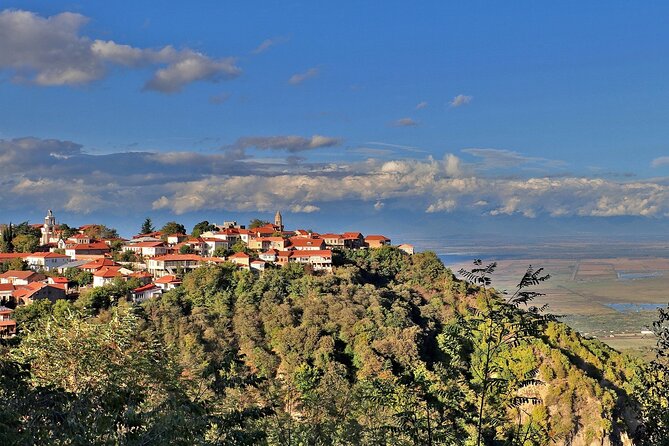 Adventure in Kakheti - Bodbe, Sighnaghi, wine tasting (Private Experience) - Who will enjoy this day most