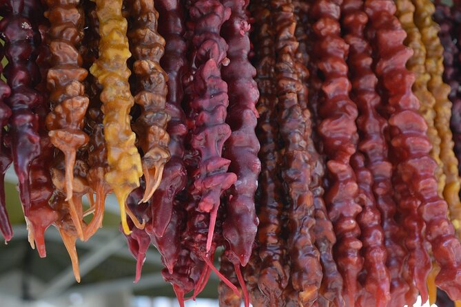 Adventure in Kakheti - Bodbe, Sighnaghi, wine tasting (Private Experience) - KTW Wine Factory: a first taste of Kakheti