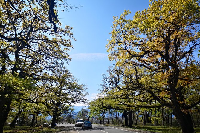 Amazing All inclusive Tour for 7 Days From Tbilisi - Day 3: Tetnuldi, Martvili, and the road toward Svaneti