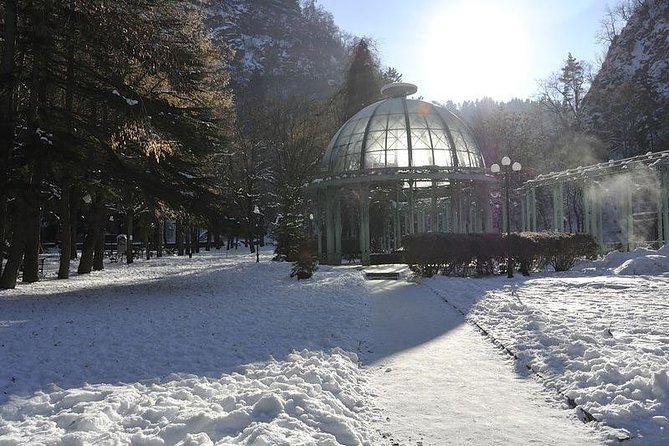 Bakuriani ski resort and the legendary Borjomi (Group Tour) - Guide quality can shape the whole day