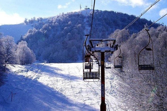 Bakuriani ski resort and the legendary Borjomi (Group Tour) - Who should book this day trip?
