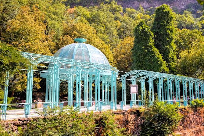 Borjomi National Park Full Day Private Tour From Tbilisi - Why this private day trip works from Tbilisi