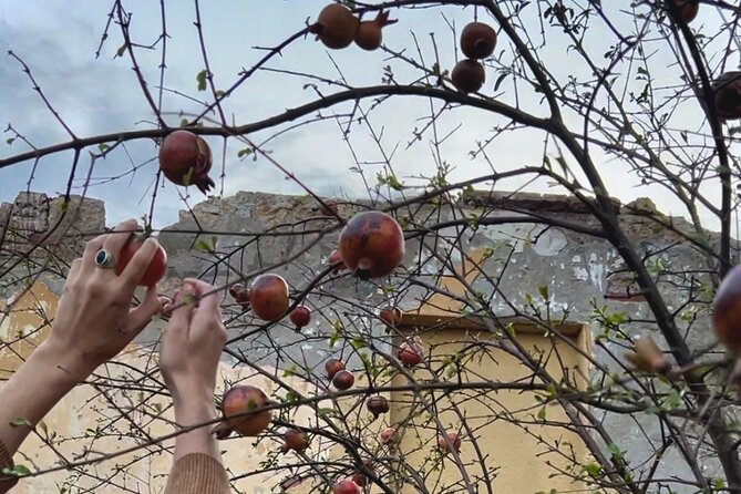 Break Bread with Kutaisi Locals - Who should book this dinner?