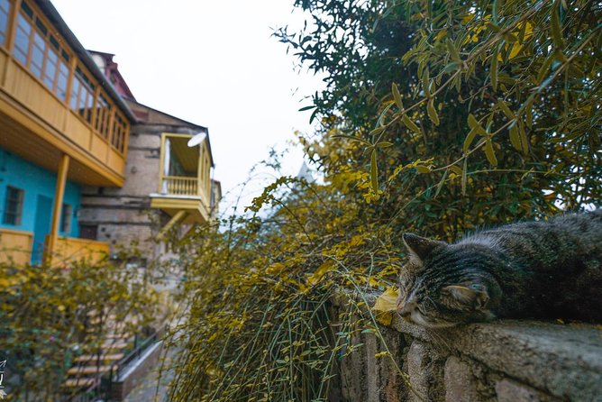 Classic Tbilisi Walking Tour - Why this route works for a first morning in Tbilisi