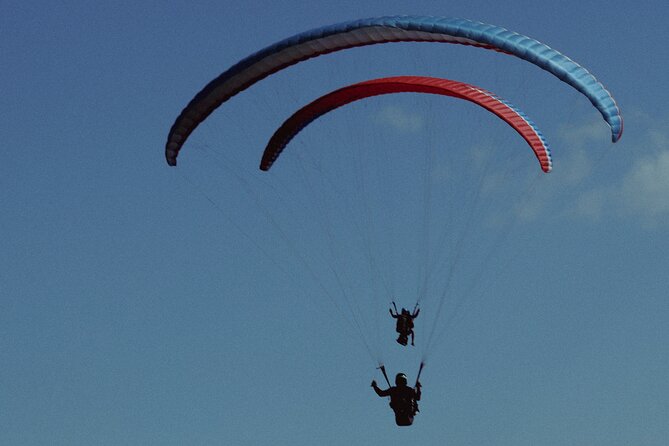 Cloudbase Paragliding in Gudauri, Georgia - Key points to know before you book