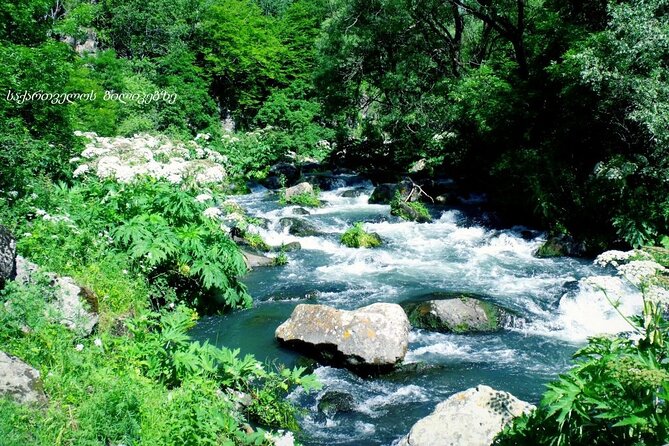 Dashbashi Canyon. The village of Asureti and Didgori monument. - Asureti and its German village character