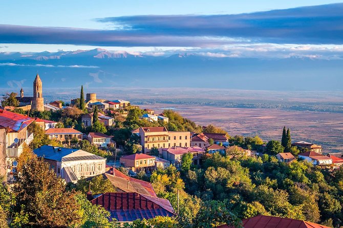 David Gareja, Kakheti and Signagi city of love One Day Tour - Who should book this private route