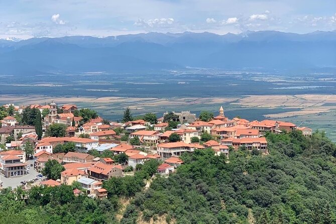 Day tour to Kakheti wine region Georgia - Timing, transport, and the real value of $31