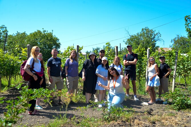 Day Trip to Kakheti Wine Region Including 9 Wine Tastings - KTW Winery in Patardzeuli: bigger scale and five more pours