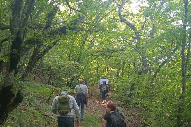 Day Walking Tour/Vashlovani Prot.Area(Eagle Gorge), min 2 persons - Starting in Dedoplistskaro at the protected areas administration