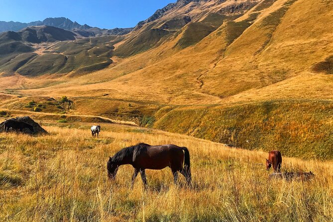 From Tbilisi: Kazbegi Ananuri Gudauri and Trusso Valley by 4x4 - Why Trusso Valley changes the usual Kazbegi day