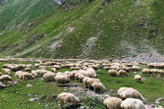 From Tbilisi: Kazbegi Ananuri Gudauri and Trusso Valley by 4x4 - The meeting of the Aragvi rivers