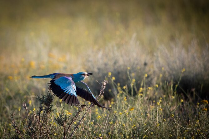 Full-Day Private Wilderness Tour in Vashlovani National Park - Why Vashlovani makes such a different day trip