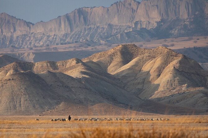 Full-Day Private Wilderness Tour in Vashlovani National Park - Walking through Pantishara Gorge