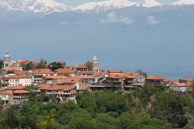 Full Day Private Wine Tour in Kakheti Region with Lunch and 3 Wine Tastings - Key points at a glance