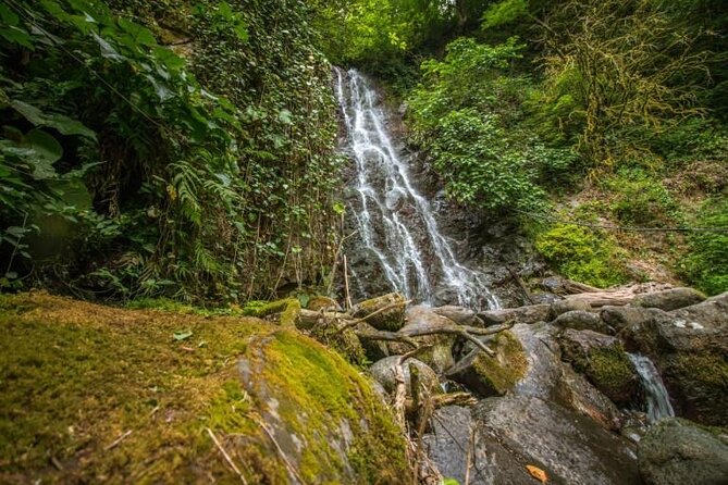 Full Day Tour from Batumi to Waterfalls - The Adjarian Wine House and its extra cost
