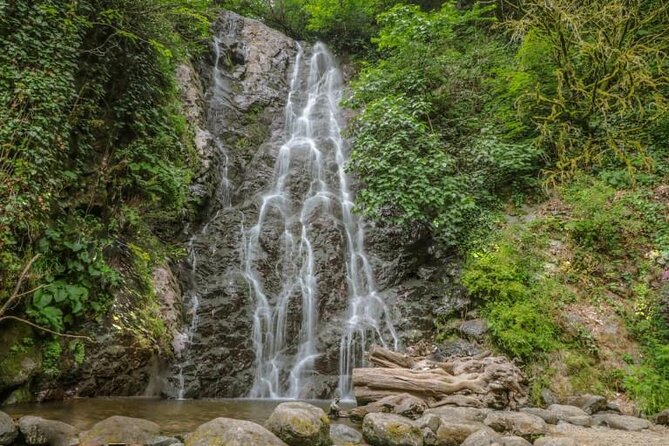 Full Day Tour from Batumi to Waterfalls - Gonio and the route’s coastal connection