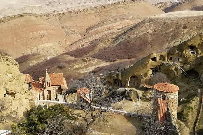 Full day tour to Kakheti: David Gareja and Signagi Town - Is $140 a fair price from Tbilisi?