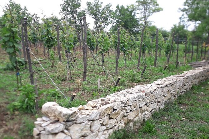 Gelati, Prometheus, Sanatoriums and Wine tour - Should you book the Gelati, Prometheus, Sanatoriums and Wine tour?