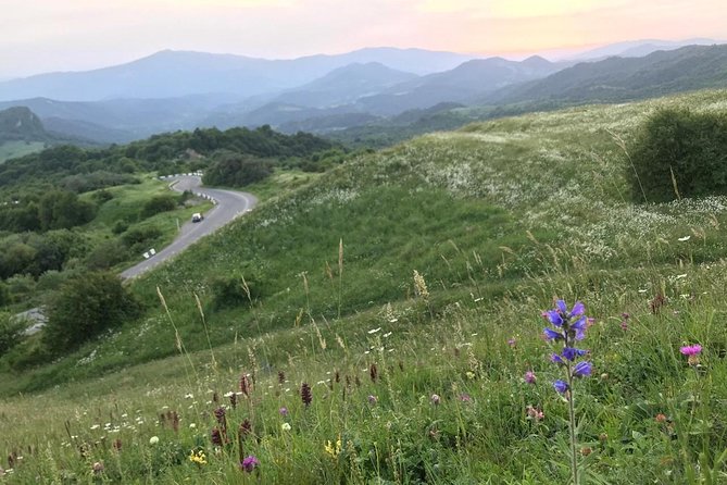 German village in Georgia (Elisabethal) & Wine tasting - Tasting Asuretuli Shala at Raminashvilebis Marani