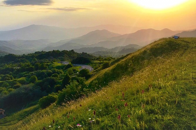 German village in Georgia (Elisabethal) & Wine tasting - Is $75 a fair price?