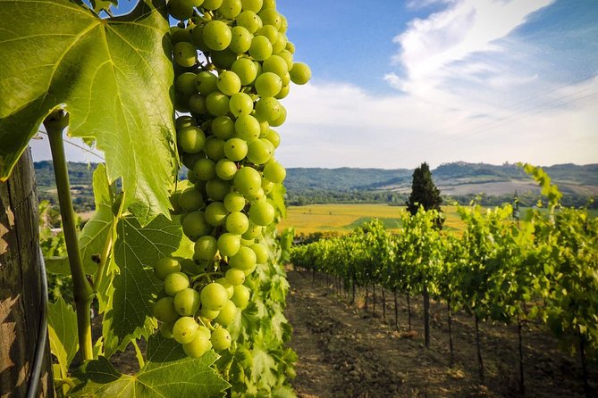 Grand tour to Kakheti for wine lovers: Telavi-Kvareli-Sighnaghi - Telavi and Batonis-Tsikhe Fortress