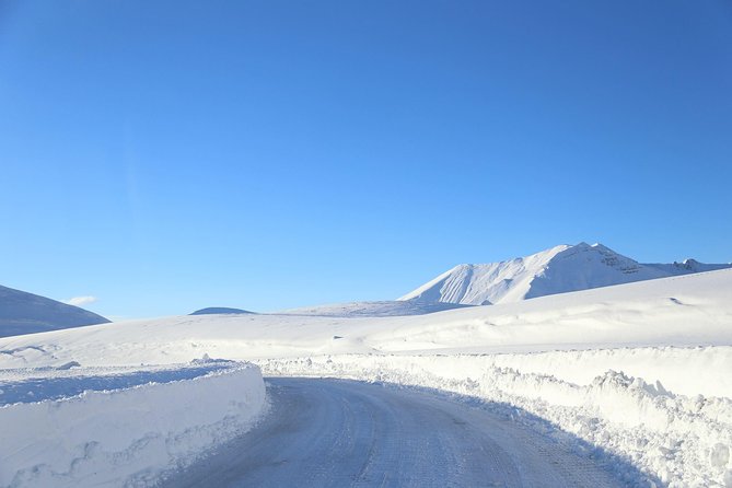 Gudauri Ski Resort day tour from Tbilisi - Is $100 per person good value?