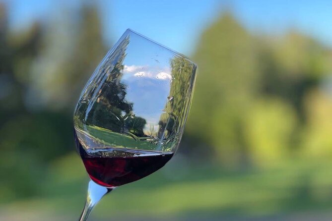 Kakheti.All inclusive Wine tour with family lunch - Shumi Winery and the Georgian wine story