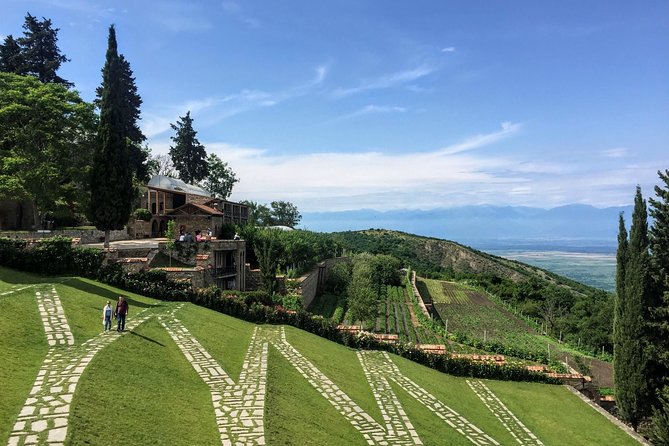 Kakheti and Sighnaghi tour with winetasting - Timing, comfort, and the private format
