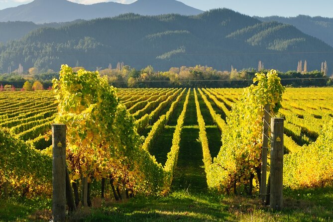 Kakheti: Bodbe, Sighnaghi, Telavi Wine Tour from Tbilisi - Sighnaghi delivers the best views