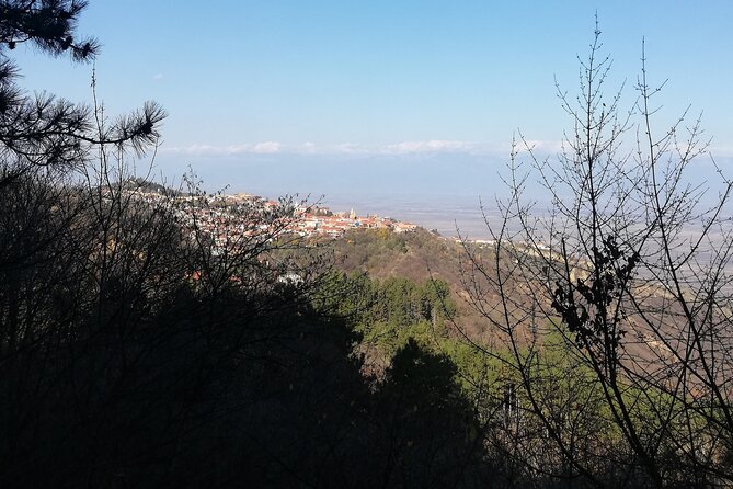 Kakheti Full Day Private Tour - Is $69 a fair price?