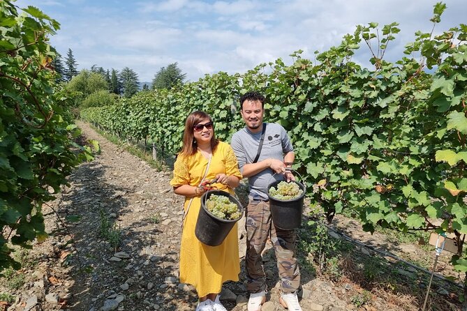 Kakheti - Small wineries and family-cooked lunch • Private tour - A Home-Cooked Lunch in Kardenakhi