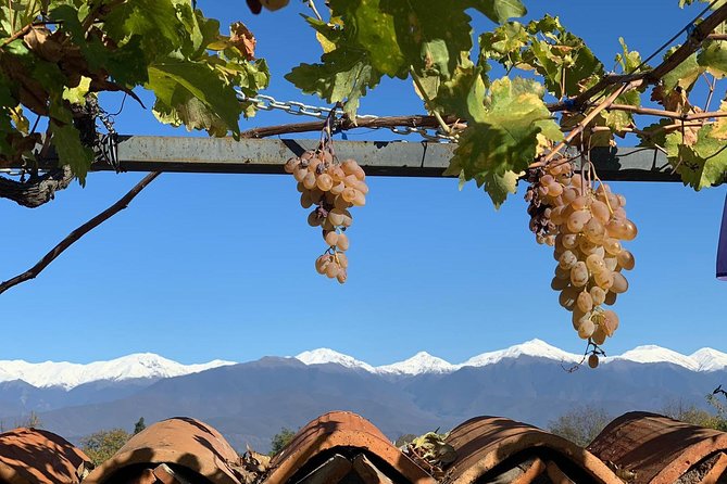 ️ Kakheti tour - Private Full Day Wine tour with Lunch and Wine tasting - Why this Kakheti day feels different