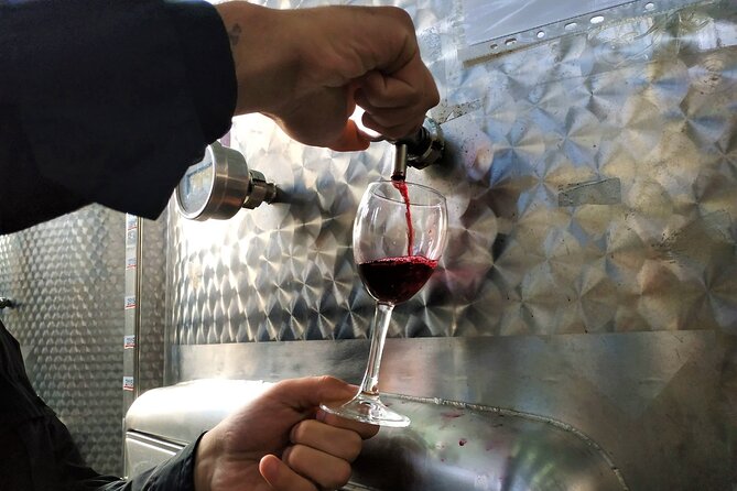 Kakheti Wine Tour with 20+ Wine Tastings & Qvevri Masterclass - Stop four: tanks, barrels, and Georgian brandy at KTW