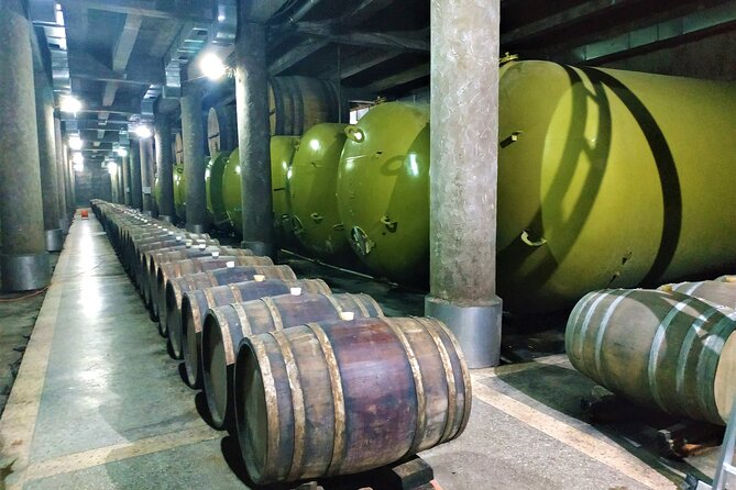 Kakheti Wine Tour with 20+ Wine Tastings & Qvevri Masterclass - What the private format changes