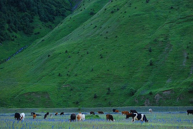 Kazbegi Adventure - Private Day Trip From Tbilisi with a Dinner + Masterclass - Ananuri Fortress and its Aragvi setting