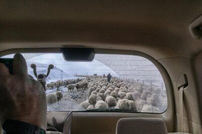 Kazbegi Adventure – Private Day Trip From Tbilisi with a Dinner + Masterclass