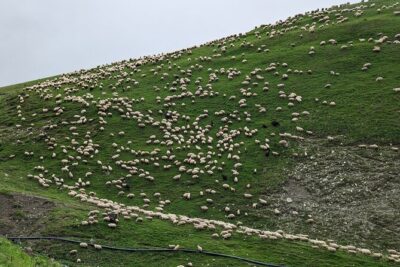 Kazbegi & Gudauri Private Full-Day Tour From Tbilisi